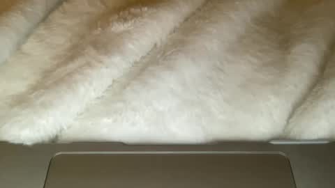 noscandal online show from 21, 12, 2025