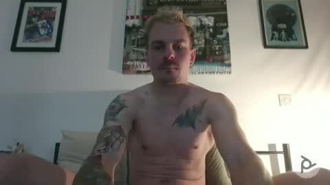 Not Another XXX Webcam online show from 12, 3, 2026