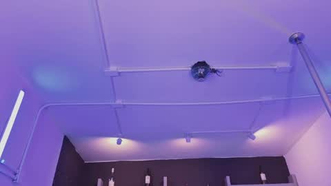 Nova Salvatore online show from 7, 4, 2026