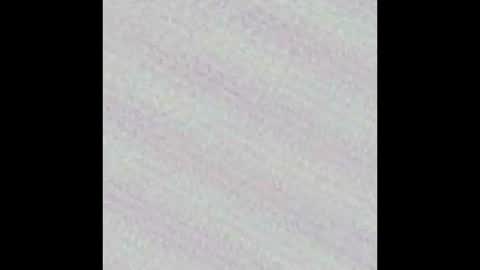 Snapshot of novinholl22 chatting on 9, 3, 2026 Novinhoo online show from 9, 3, 2026