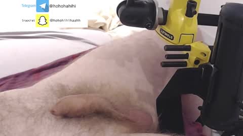 nuche99 online show from 1, 11, 2025