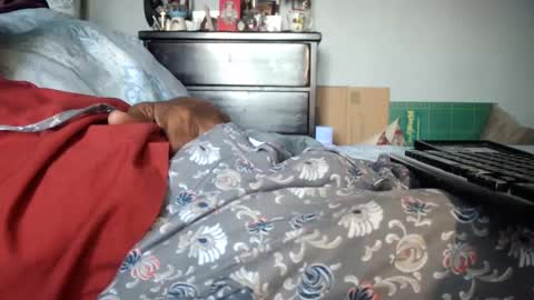 KN online show from 23, 12, 2024