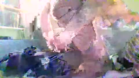 Snapshot of nylonloversffm chatting on 17, 1, 2026 NYlonloversFFM online show from 17, 1, 2026