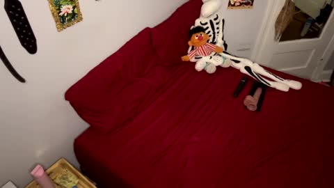 Nymphaea online show from 24, 3, 2026