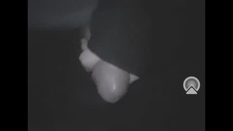 nympham online show from 18, 3, 2026