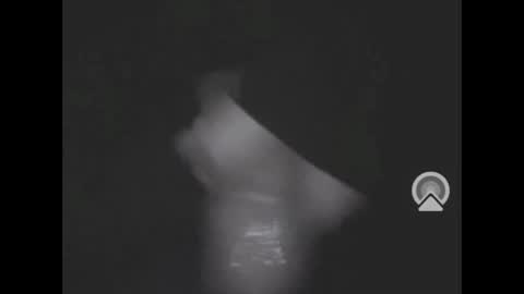 nympham online show from 7, 4, 2026