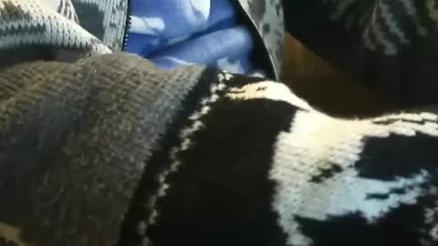 o0okukito0o online show from 14, 1, 2025