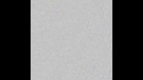 Obsidian stallion online show from 9, 10, 2025