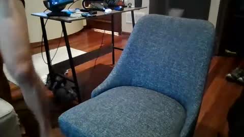 Snapshot of octobersky1993 chatting on 20, 12, 2024 Sky online show from 20, 12, 2024