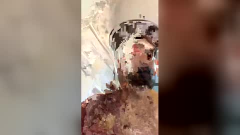 ogkftp online show from 20, 4, 2026