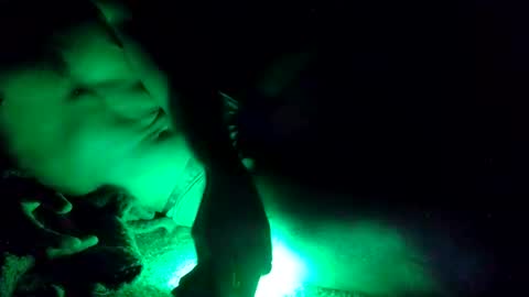 Snapshot of oibrev49 chatting on 21, 3, 2026 oibrev49 online show from 21, 3, 2026