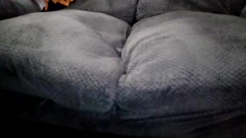 OldMIGUY online show from 15, 4, 2026