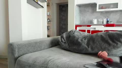 oliviamuur online show from 31, 3, 2026