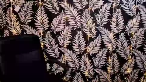 Kelly online show from 11, 1, 2025