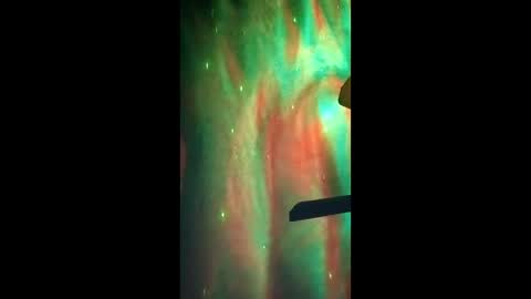 Snapshot of omiethehomie4 chatting on 2, 3, 2026 Dumbass Im done online show from 2, 3, 2026