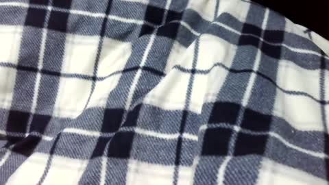 onanii21 online show from 14, 1, 2025