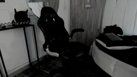     ... online show from 19, 5, 2026