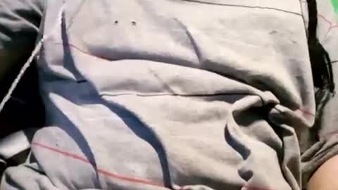 onlybigasses7 online show from 7, 2, 2025