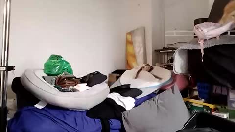 TsJojo online show from 1, 12, 2025