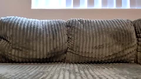 or2jrz online show from 18, 11, 2025