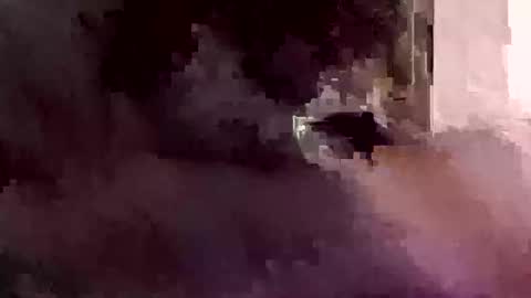 Foryourdick online show from 12, 1, 2026