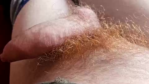 orgazm1212 online show from 6, 4, 2026