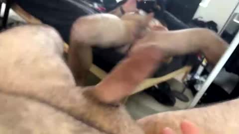 Snapshot of orgybargy69 chatting on 14, 11, 2025 ORGYBARGY69 online show from 14, 11, 2025