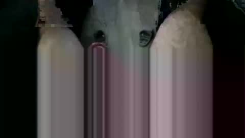 Snapshot of orgybargy69 chatting on 19, 11, 2025 ORGYBARGY69 online show from 19, 11, 2025