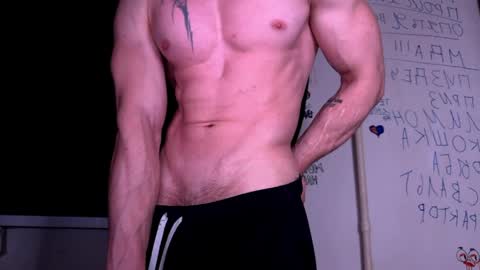 origamicat online show from 4, 6, 2026