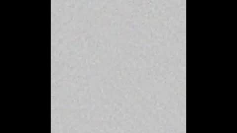 Oso Licencioso online show from 25, 11, 2025