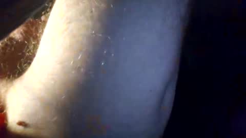 Snapshot of p313883 chatting on 1, 3, 2026 p313883 online show from 1, 3, 2026