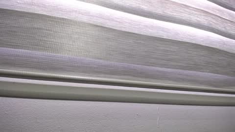 Palmer online show from 13, 1, 2025