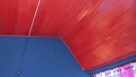 PALOMA 3 online show from 5, 1, 2026