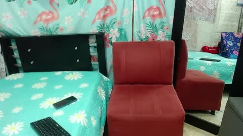 pamela online show from 2, 4, 2026