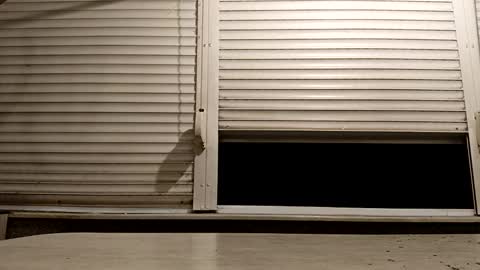 angel hris online show from 24, 11, 2025