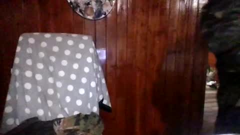 Snapshot of panditernurita12 chatting on 14, 3, 2026 panditernurita12 online show from 14, 3, 2026