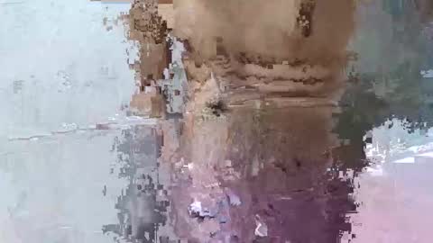 pankubig online show from 29, 9, 2025