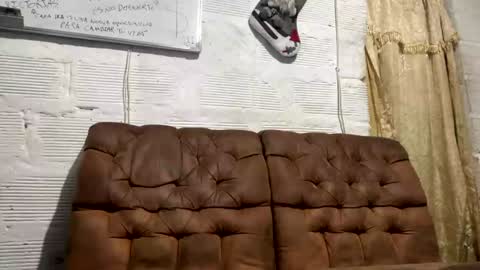Snapshot of panthers_room chatting on 19, 12, 2024 panthers_room online show from 19, 12, 2024