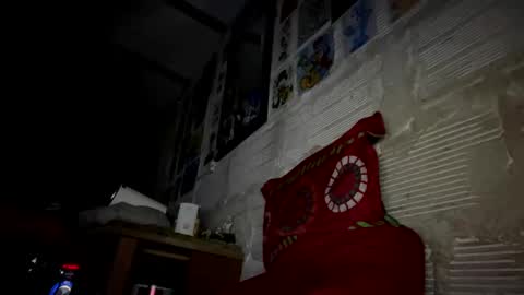 Snapshot of panthers_room chatting on 23, 2, 2025 panthers_room online show from 23, 2, 2025