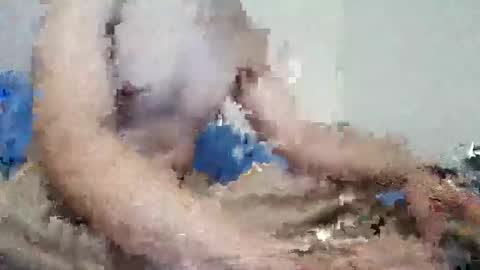 parejitafiel2309 online show from 9, 11, 2025