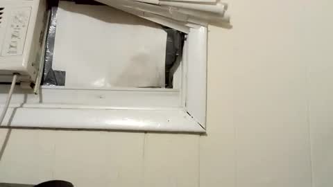 JD online show from 18, 12, 2024