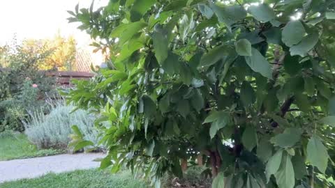 Andreea online show from 16, 9, 2025