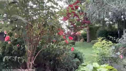 Snapshot of patry333 chatting on 4, 6, 2026 Andreea online show from 4, 6, 2026