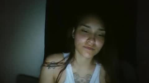 Snapshot of pau_cat chatting on 27, 4, 2026 Pau online show from 27, 4, 2026