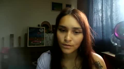 Snapshot of pau_cat chatting on 28, 5, 2026 Pau online show from 28, 5, 2026
