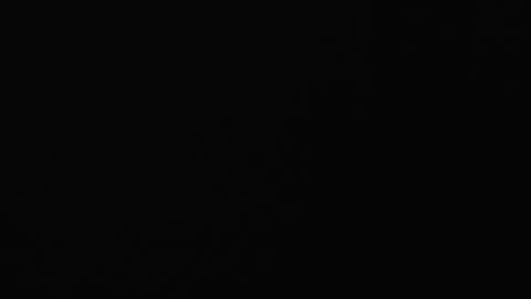 paula online show from 8, 2, 2025