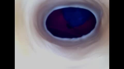 Paula 18 Aninhos online show from 17, 12, 2025