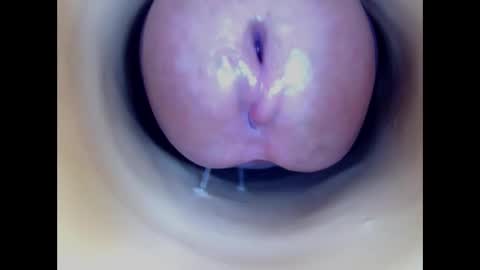 Paula 18 Aninhos online show from 8, 1, 2026