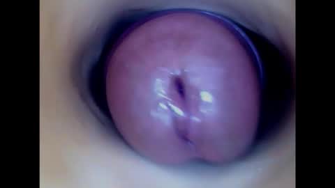 Paula 18 Aninhos online show from 5, 2, 2026