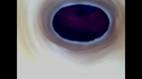 Paula 18 Aninhos online show from 27, 3, 2026